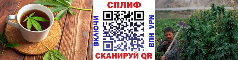 Canna-Cookies марихуана  купить   Правдинск 