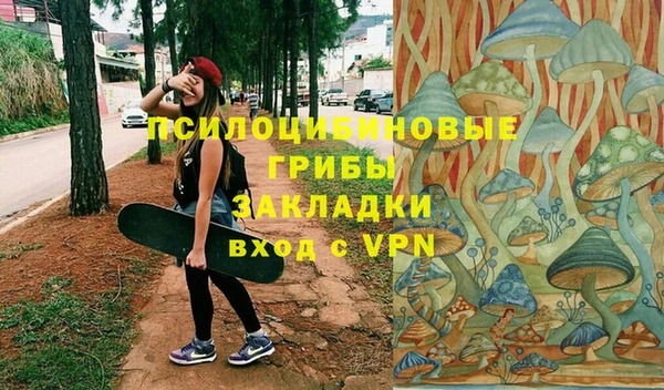 амф Аркадак