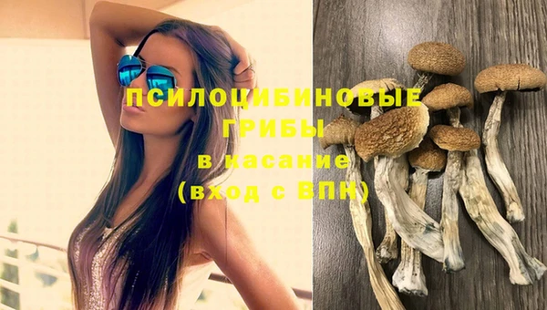 амф Аркадак