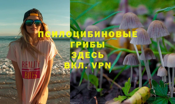 спиды Армянск