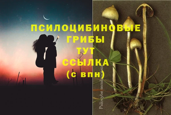 амф Аркадак